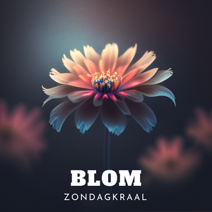 Blom