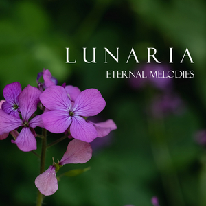 Variations on a Theme by C.H., Op. 57: Var. 6. L'istesso tempo