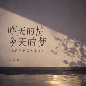 昨天的情今天的梦（也许前世欠你太多）
