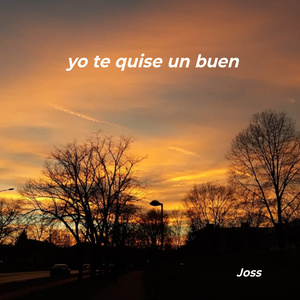 yo te quise un buen