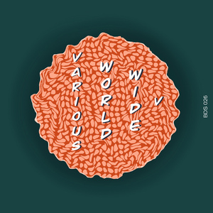 Domestic Cat (Club Version)