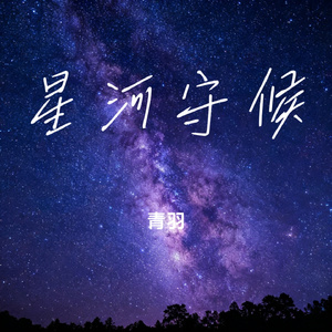 星河守候