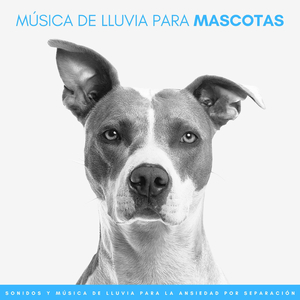 Patas Peludas