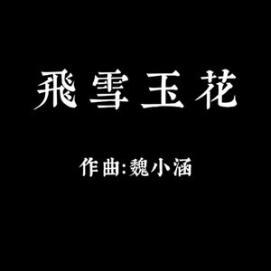 飞雪玉花（二胡版）
