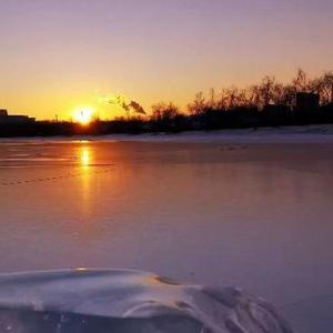 夏夜绚烂的烟火