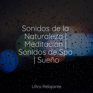 Evolución Armoniosa