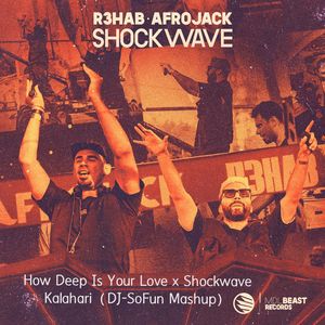 How Deep Is Your Love x Shockwave（DJ-SoFun Mashup）