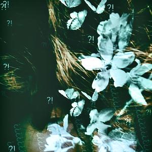 everyday (feat. vicevilla)