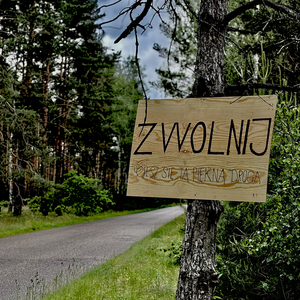 Zwolnij