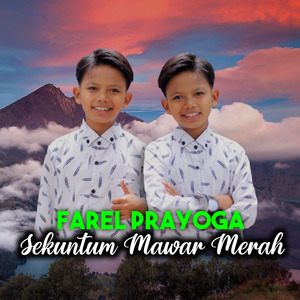 Sekuntum Mawar Merah