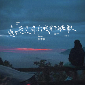 遗憾是你为我写下的老歌