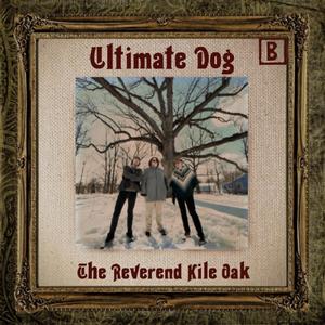 Up Into the Mountains