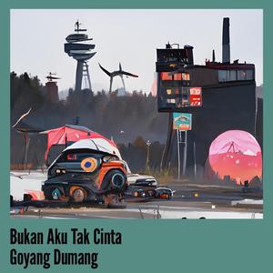 Bukan Aku Tak Cinta Goyang Dumang