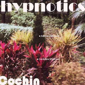 【FREE】hypnotics - #E piano