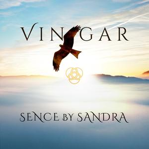 Vingar