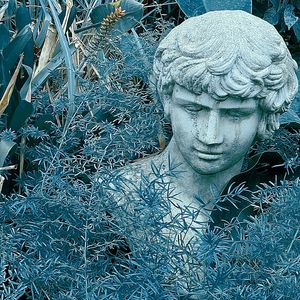 蓝色黄昏 Blue Sunset