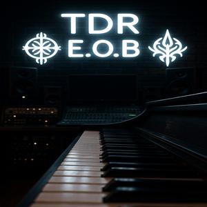 TDR