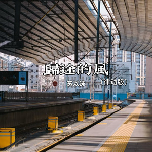 归途的风 (律动版)