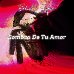 Las Entradas Investigables