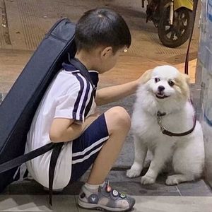 暖心情话我爱你（原唱cover拦鸾情）