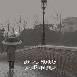 ভুল করে ভালোবেসে ফেলেছিলাম তোকে