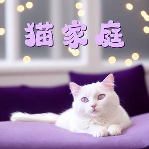 猫咪的美梦