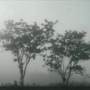 Where The Lines Fade