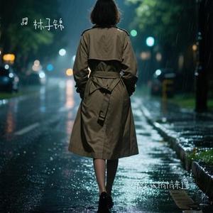 雨夜我悄悄来过