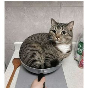 Space Bound (sped up)