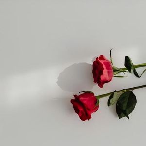 something that never change