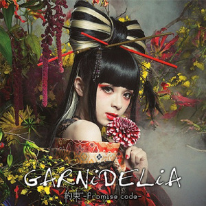 約束-Promise code-（Cover GARNiDELiA）