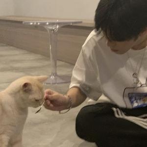 流浪兄弟（翻自：吕飞）