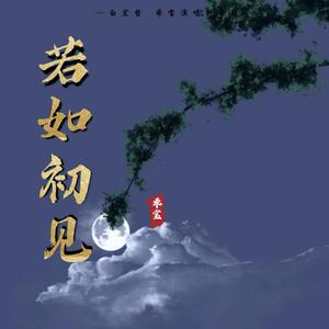 若如初见 (DJ版伴奏)