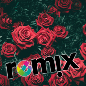 Un Trandafir Creste La Firida Mea (All Artist Remix)