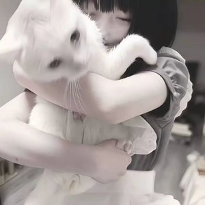 用怀疑交换安全感