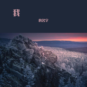 我的名字