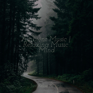 Solitary Dunescape Symphony