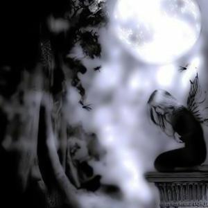 † STOP SCR3AMING †