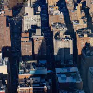 Echoes of the Concrete Jungle