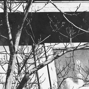 Haven'tBeenMyselfLately