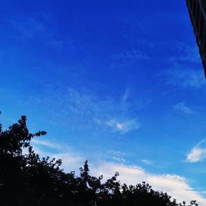 山风归来