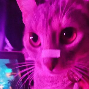 Call for Help (Cinematic Intro x Trap Beat)