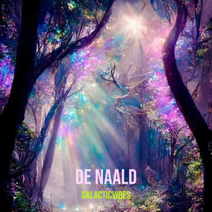 De Naald