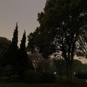 Discover（Prod.Boyfifty）