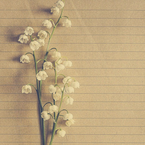 それきりの手紙