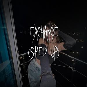 exchange (sped up)