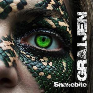 Snakebite