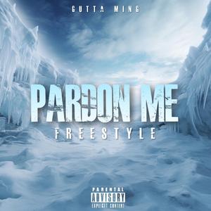 Pardon Me (freestyle)