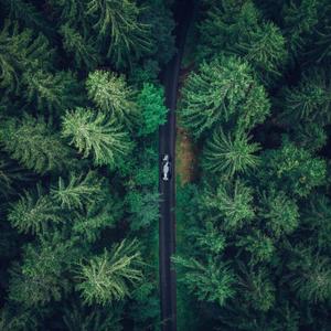 沉醉的青丝(男版)