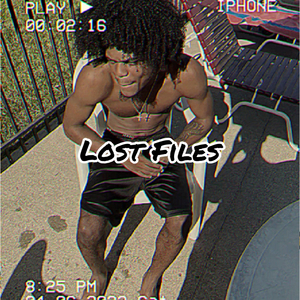 Lost Files